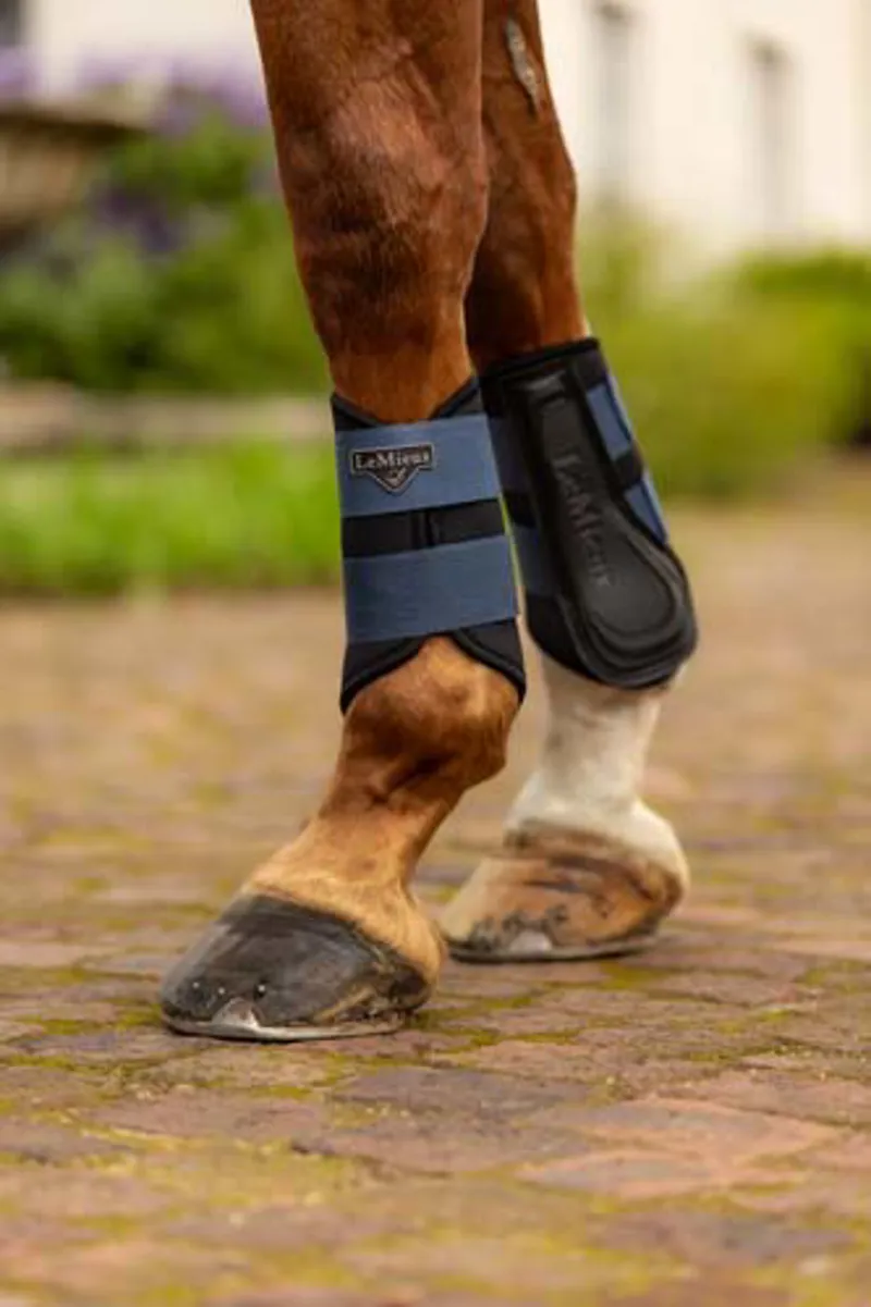 LeMieux Grafter Brushing Boots X-Large in Atlantic-5